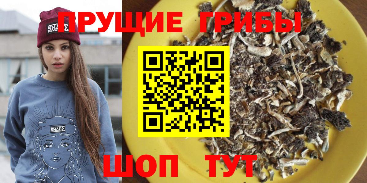 Псилоцибиновые грибы Psilocybe  Псилоцибиновые грибы прущие грибы  Тула  Вход с VPN 